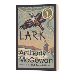 英文原版 Lark 当如云雀高唱 英国卡内基儿童写作奖 Anthony McGowan 英文版 进口英语原版书籍