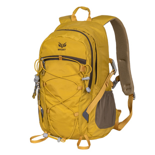 户外轻便登山包女轻背负徒步背包旅行双肩包20L爬山包防水轻量化