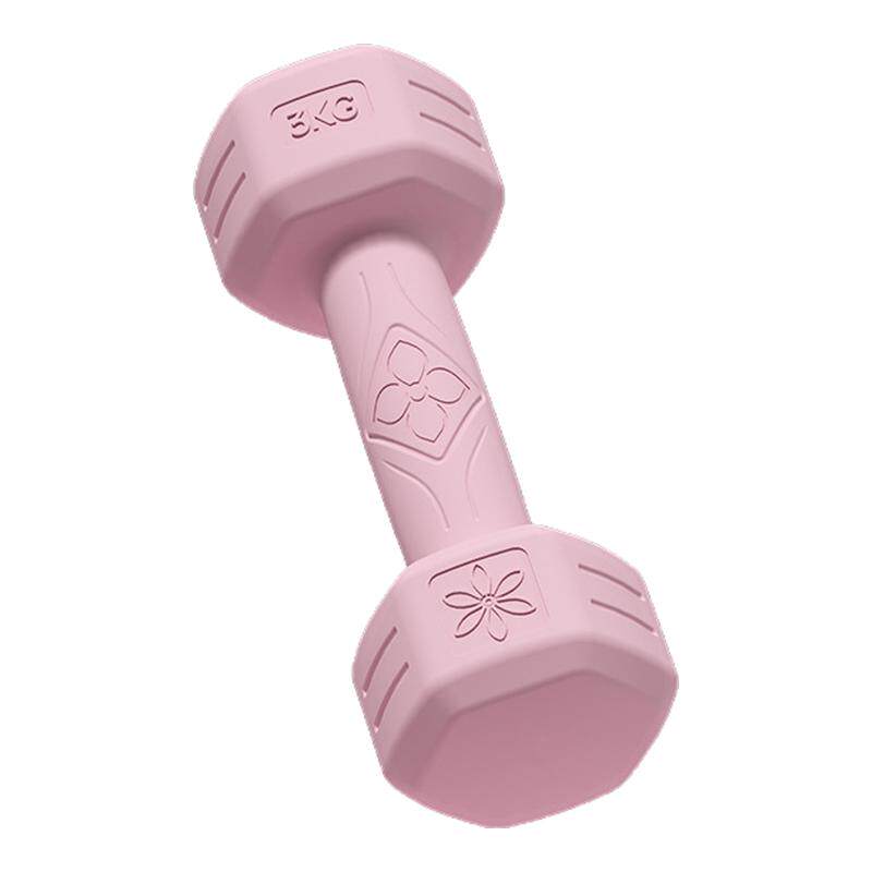 哑铃女士健身家用2kg一对