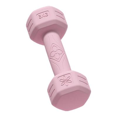 哑铃女士健身家用2kg一对