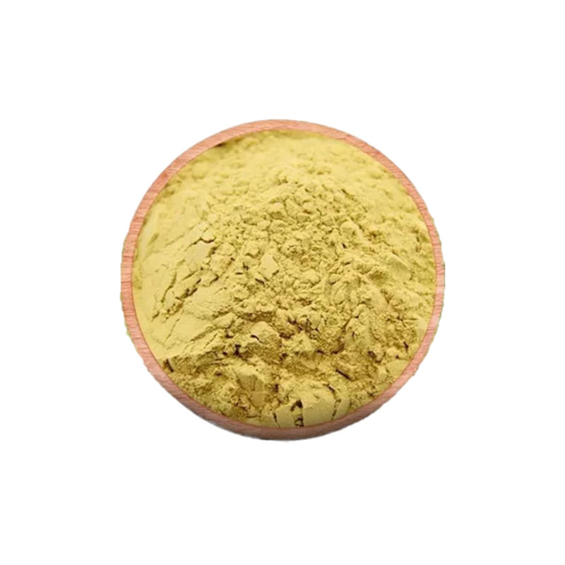 槲皮素粉天然提取二氢国产