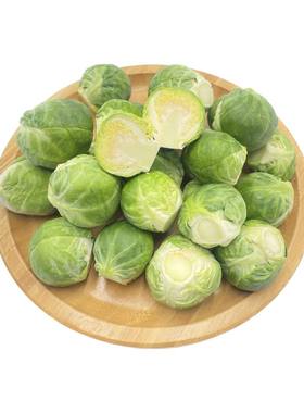 孢子甘蓝甘蓝菜【千牛优福】新鲜