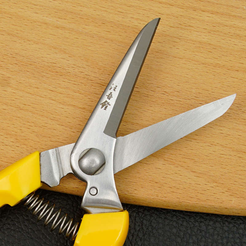 汪吾铨剪刀树枝剪不锈钢园艺剪刀花剪枝剪长头果树强力剪园林剪刀