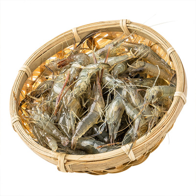 微山湖原生态小河虾非养殖无激素