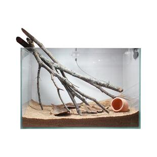 黄梨枝造景木原生态南美雨林缸天然枯木套餐全套鱼缸树叶树枝装饰