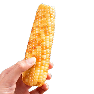 10斤云南西双版纳香糯小玉米
