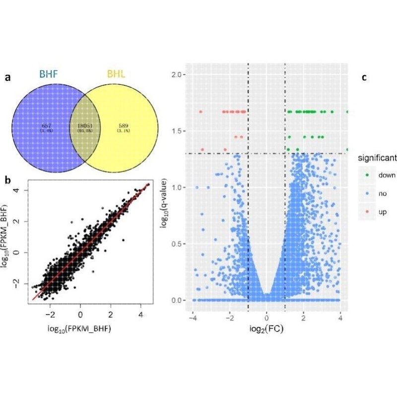 RNA-seq 转录组数据分析