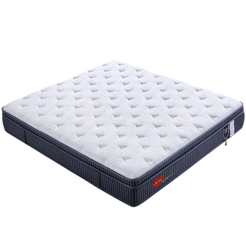 普托米亚 进口乳胶床垫弹簧席梦思床软硬两用 康多提大道Ⅵ