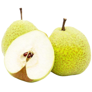 正宗山东莱阳梨照旺庄芦儿港特产茌慈梨贡梨整箱10斤水果梨子包邮