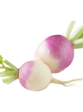 新奇特甜面一绝秋季蔬菜种子