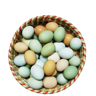 正宗土鸡蛋散养绿壳乌鸡蛋新鲜农村野外月子孕妇本绿色虫草笨50枚