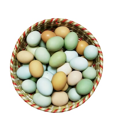 正宗土鸡蛋散养绿壳乌鸡蛋新鲜农村野外月子孕妇本绿色虫草笨50枚