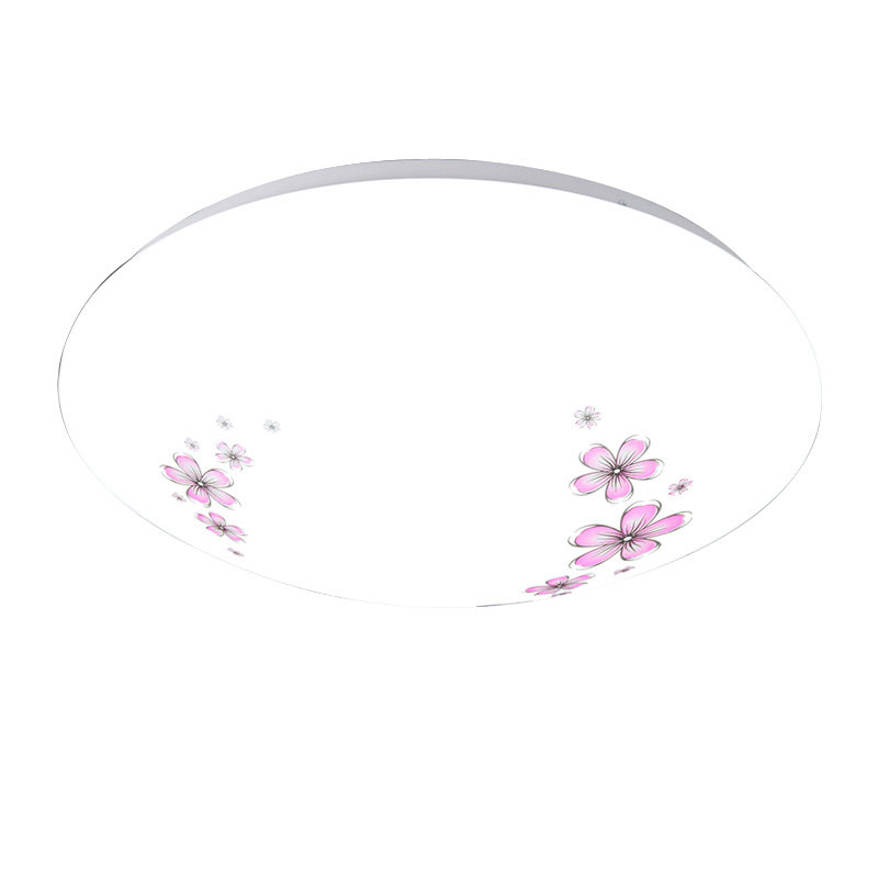 现代简约led圆形吸顶灯家用卧室客厅灯饰阳台过道厨房卫生间灯具