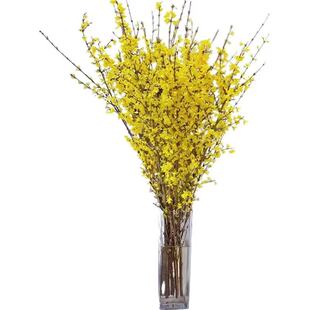 迎春花鲜花水养鲜切真花插花水培植物干枝支室内阳台花卉盆栽绿植