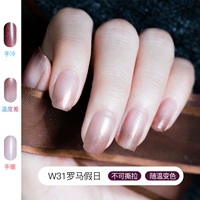 Римский дневник