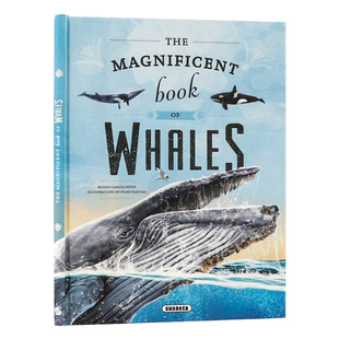 神奇鲸鱼大百科 英文原版绘本 The Magnificent Book of Whales 儿童海洋哺乳动物科普 启蒙认知读物 环保意识启蒙 课外阅读拓展