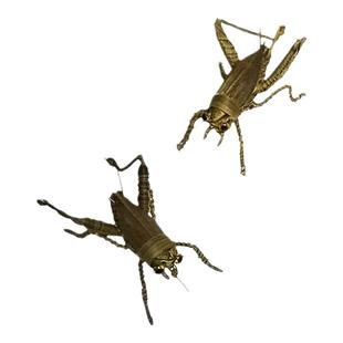 中国非物质文化遗产草编中国龙棕编蜘蛛蚂蚁螳螂龙年吉祥摆件