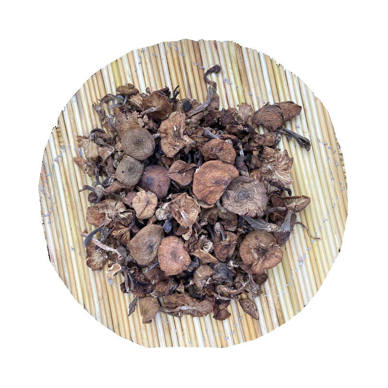 榛蘑 承德榛蘑 榛蘑蘑菇 榛蘑干货食用菌爆炒小鸡炖蘑菇 榛蘑干货