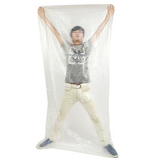 仁鼎鑫沙棘能量油塑料袋一次性排湿全袋袋寒排酸袋子沙棘全身排排