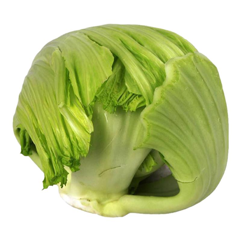种子潮州三叶包心咸菜酸菜南方