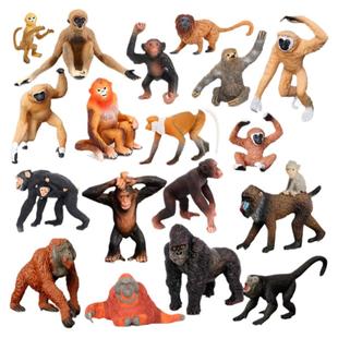 60种猴子猩猩模型仿真金丝猴山魈长臂猿猕猴树懒动物摆件儿童玩具