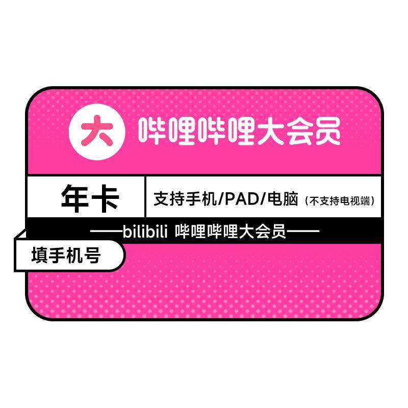 B站大会员哔哩哔哩会员12个月 大会员年卡官方直充 昭阳公主