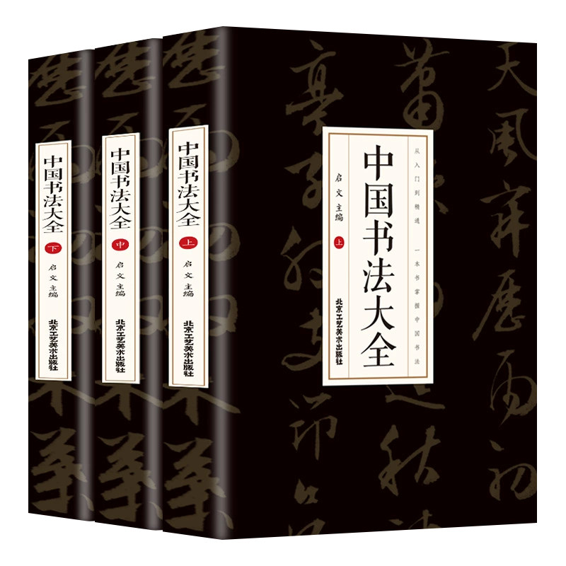 中国书法大全上中下3册成人练字