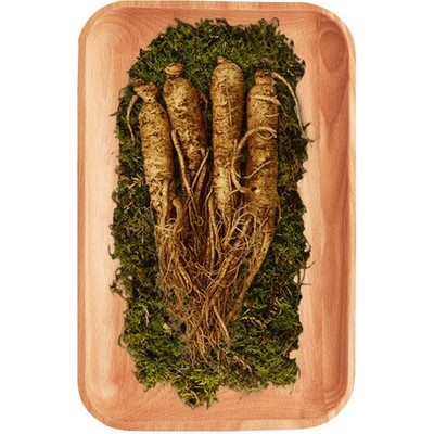 吉林敖东新鲜人参150g泡酒煲汤