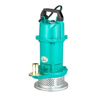 无刷直流潜水泵大流量48V60V72伏通用电动车电瓶车农用灌溉抽水泵