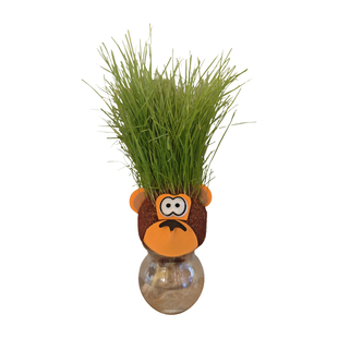 蒙草种源种植盲盒草娃娃绿植儿童盆栽桌面懒人创意种植猫咪零食