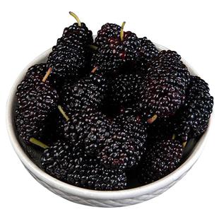 北漠果业新疆黑桑葚干吃泡水泡酒泡茶免洗吐鲁番黑桑葚干泡