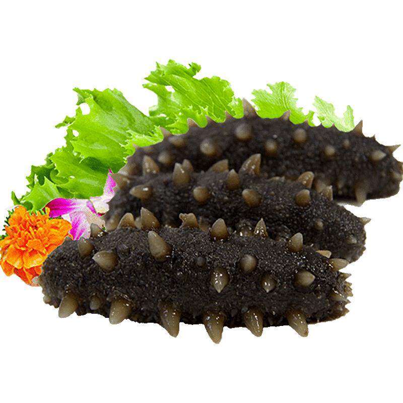 晓芹冷冻大连500g即食海参