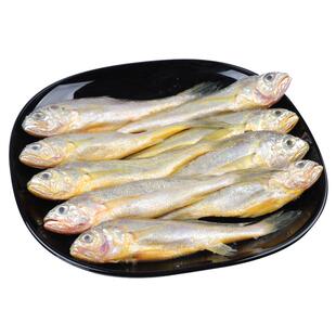 舟山小黄鱼新鲜冷冻海捕小黄花鱼黄花鱼鲜活海鲜水产