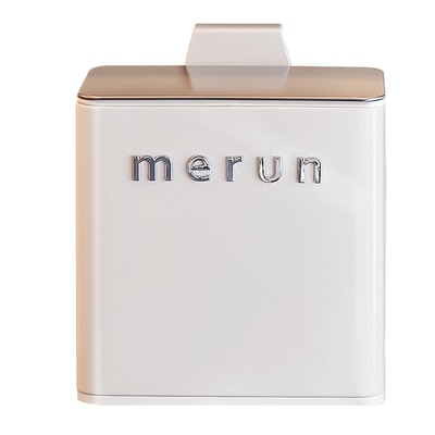 英国厨房垃圾桶壁挂式双向开盖