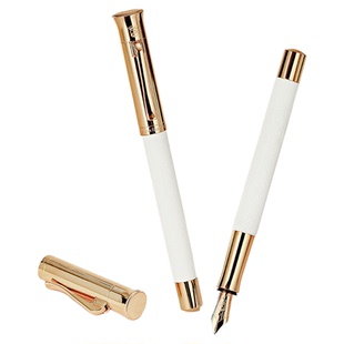 Graf von Faber－Castell/德国辉柏嘉伯爵 图纹系列钢笔丝缎香槟金进口18K金笔尖墨水笔高端签字练字书法礼