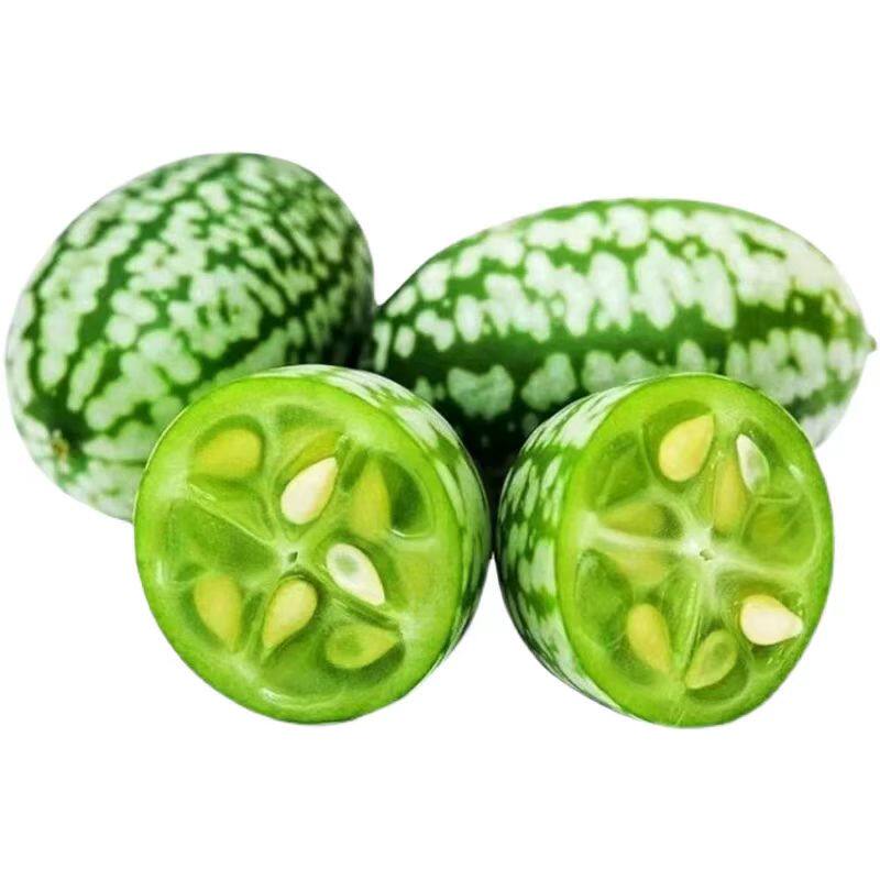 迷你拇指西瓜整箱包邮力荐