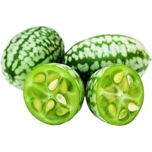 迷你拇指西瓜整箱包邮力荐