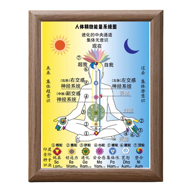 人体七轮脉图木质相框养生馆装饰
