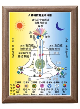 人体七轮脉图木质相框养生馆装饰