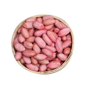 2025山东大粒花生米 生 新 精选大花生农家榨油红皮生5斤装包邮