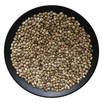 火麻籽新鲜干货粒粒饱满中药材