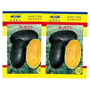 源兴25黑皮黄瓤西瓜种子超甜四季春季黑美人懒汉西瓜种籽蔬菜种孑