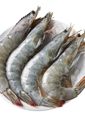 顺丰快！特大虾王22CM！高回购！