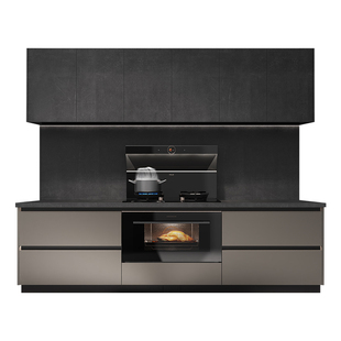 金牌厨柜厨房整体橱柜定制家用石英石台面灶台柜电一体做集成厨房