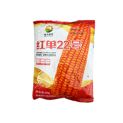 中高海拔玉米种红单22号玉米种