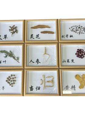 展示墙标本中药单品中空
