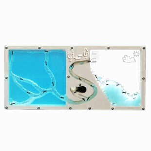 学生学校蚂蚁工坊 城堡 幼儿园儿童宠物家园科学试验观察生态箱盒