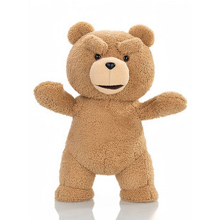 POPMART泡泡玛特 共鸣 ted2泰迪熊可动毛绒玩偶潮流周边娃娃礼物
