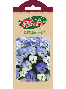 皱边角堇花种子德古拉盆栽礼服