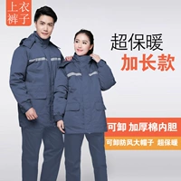 Хлопковая одежда серая> утолщен (установлен)